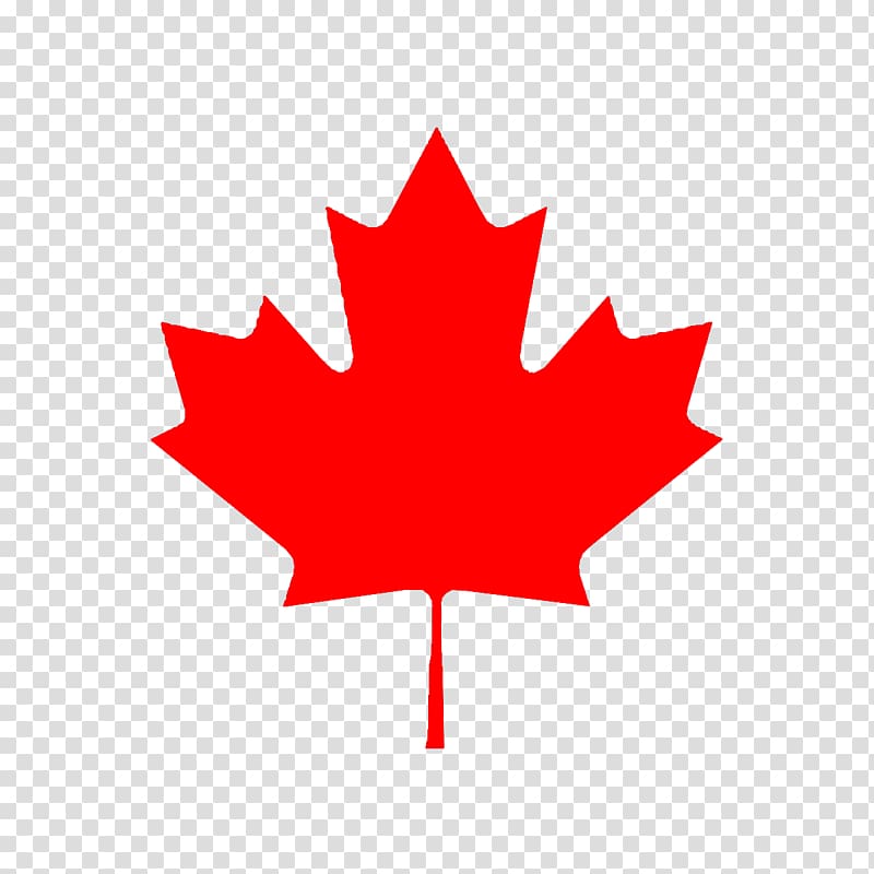 Flag of Canada Maple leaf Flag of the United States, red leaves transparent background PNG clipart