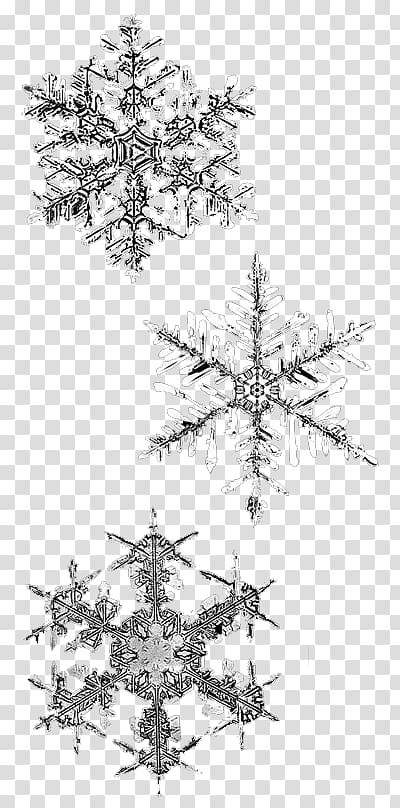 Snowflake Winter Transparency, winter transparent background PNG clipart