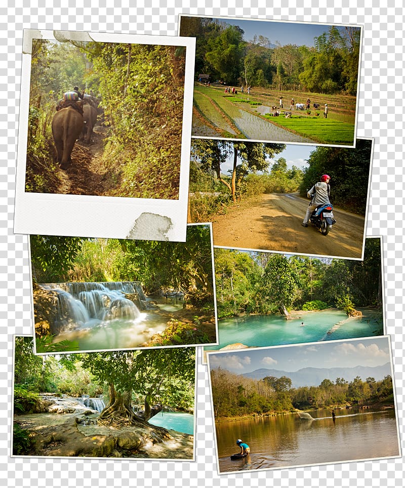 Luang Prabang District Luang Namtha Travel , pha that luang lao transparent background PNG clipart