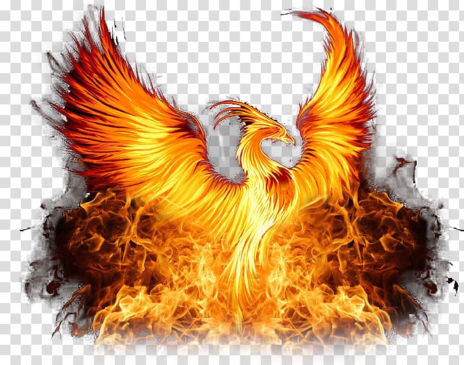 phoenix , Phoenix Thundersport GB Symbol, Phoenix transparent background PNG clipart