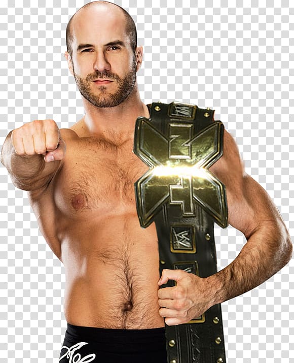 Cesaro WWE Superstars WWE Championship Professional Wrestler, wwe transparent background PNG clipart