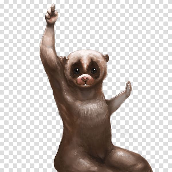 sloth , Slow Loris Meme Character transparent background PNG clipart