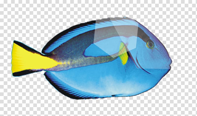 Deep sea fish Peces de mar, Cartoon blue deep sea fish transparent background PNG clipart