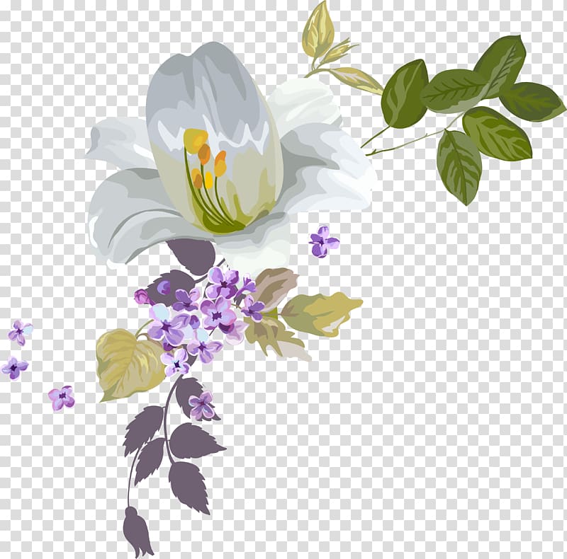 white and purple lily and lilac flowers illustration, Watercolor painting Drawing , Water colours decorate beautiful flowers transparent background PNG clipart