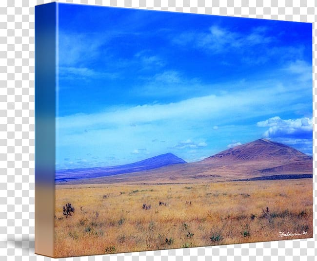 Painting Steppe Grassland Energy Frames, painting transparent background PNG clipart