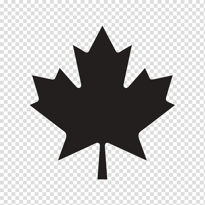 Manitoba Colony of New Brunswick Relocation Maple leaf Sales, Maple Bear Canadian School Trivandrum Technopark transparent background PNG clipart