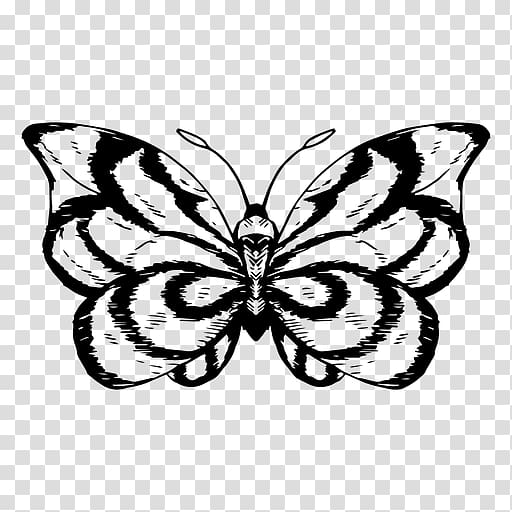 Monarch butterfly Moth Drawing, sketchpad transparent background PNG clipart