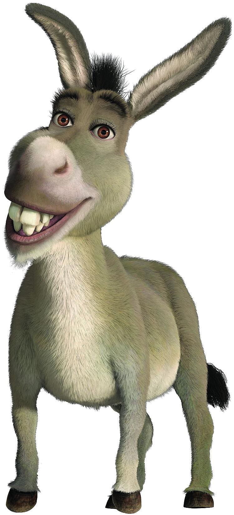 Transparent Shreck Png - Shrek Donkey And Puss In Boots, Png Download -  503x666 PNG 