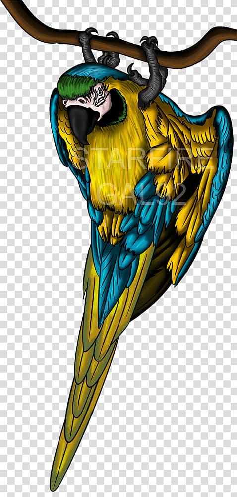 Blue-and-yellow macaw Wing T-shirt Feather, Blue and Gold Macaw transparent background PNG clipart