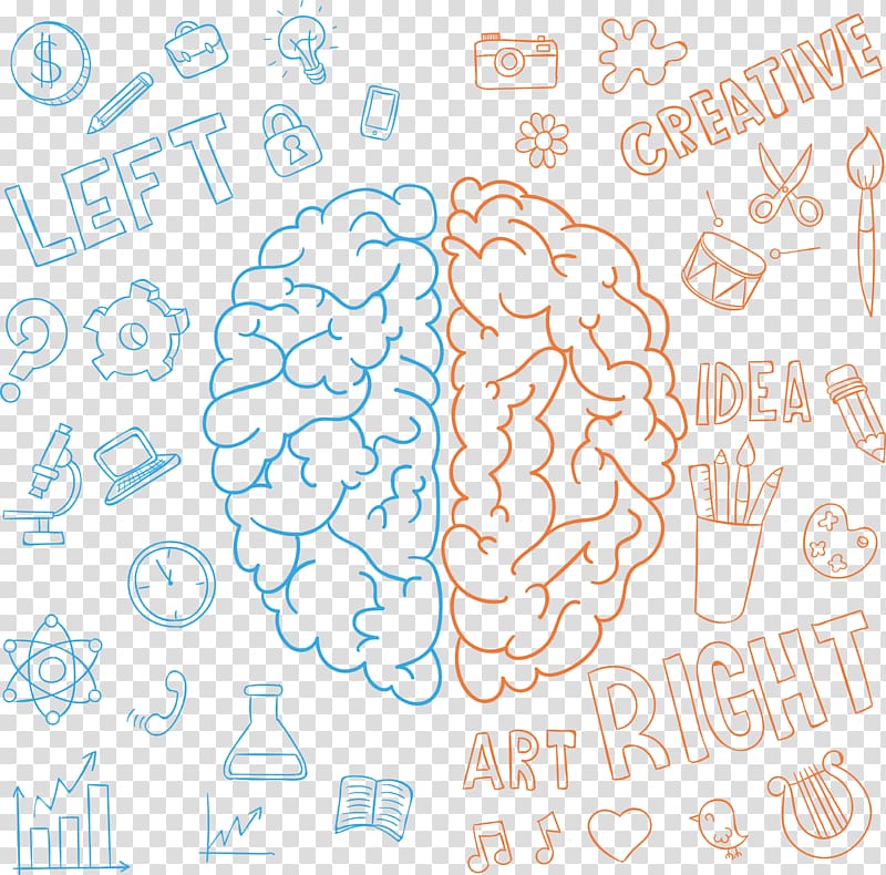 blue and orange brain graphcis, Lateralization of brain function Drawing Human brain Cerebral hemisphere, Intellectual development of the left and right brain transparent background PNG clipart