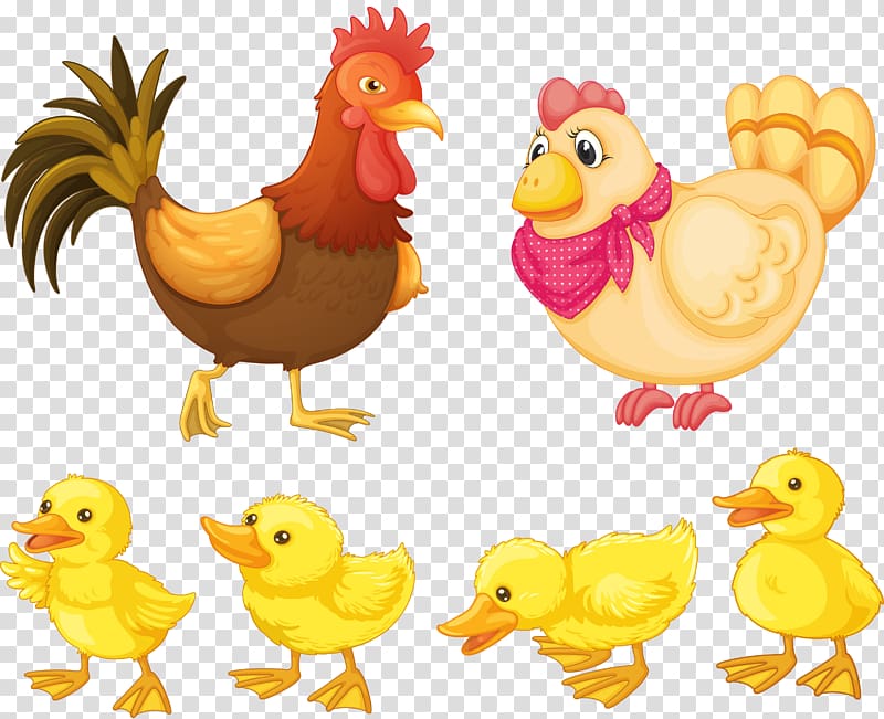 Chicken Rooster , Chicken baby family transparent background PNG clipart