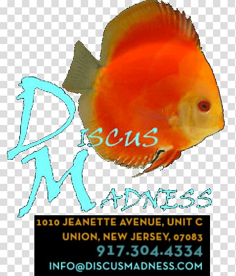 Fish Discus Madness Logo Whatcha See Is Whatcha Get, aquarium cabinets and canopies transparent background PNG clipart