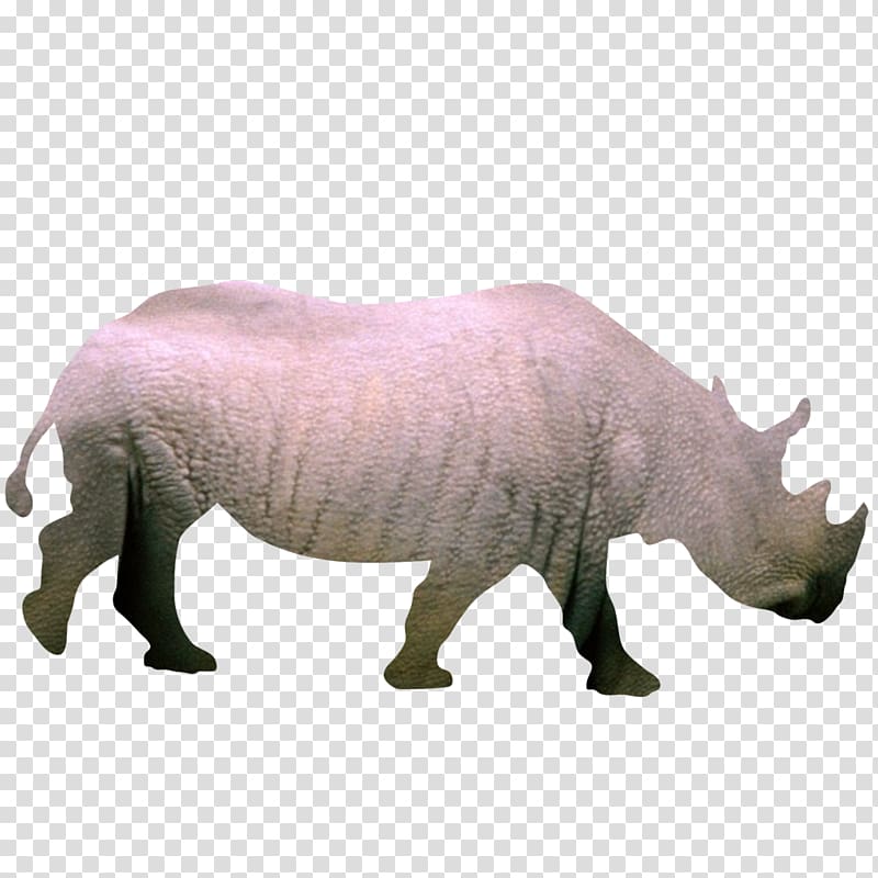 Silhouette Animal , rhino transparent background PNG clipart