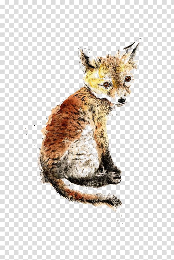 Red fox Gray wolf Silver fox Arctic fox, fox transparent background PNG clipart