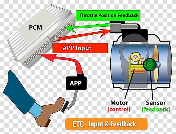 Light Electronic throttle control Toyota Actuator, Electronic Control Unit transparent background PNG clipart