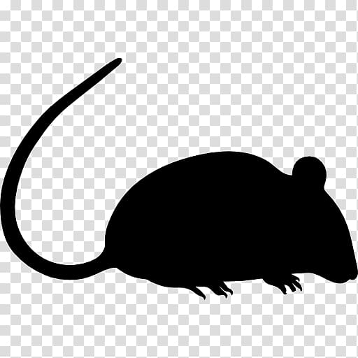 Computer mouse Black rat Computer Icons, rat transparent background PNG clipart