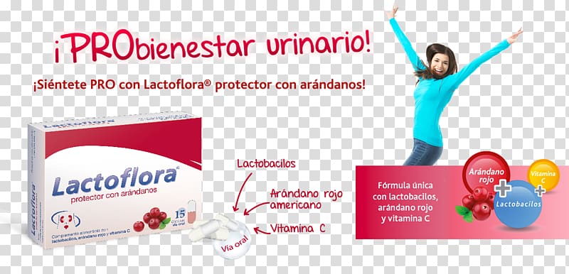 Probiotic Skin Prebiotic Online advertising Health, Arandanos transparent background PNG clipart