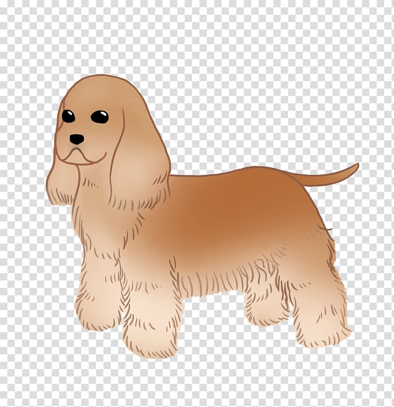 Cockapoo Rare breed (dog) Puppy Dog breed Spaniel, puppy transparent background PNG clipart