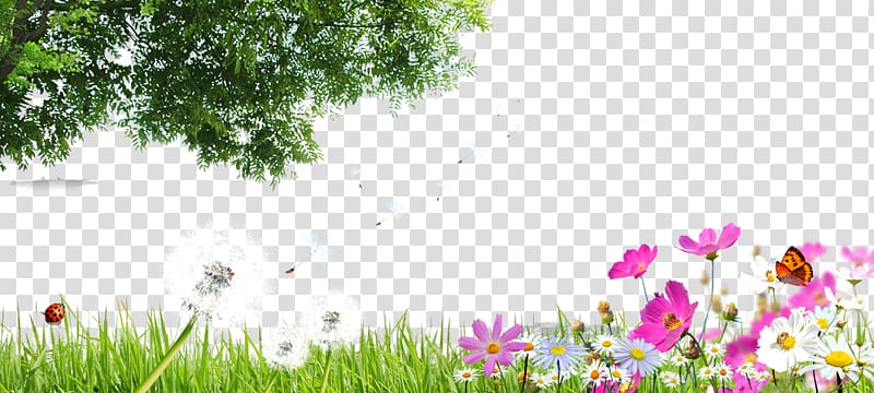 pink and yellow flowering plants, Green, Green spring free material transparent background PNG clipart