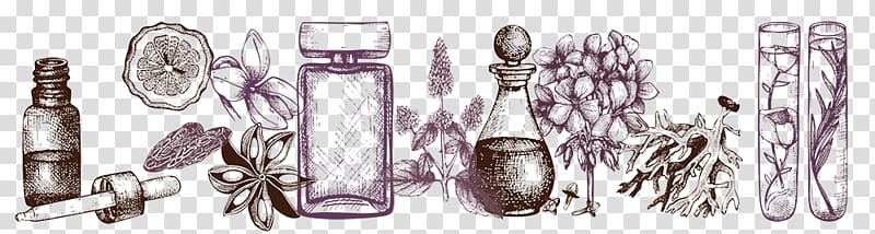 Perfume Fashion Personal Care Cosmetic industry, perfume bottle sketch transparent background PNG clipart