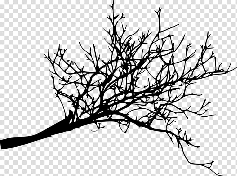 Branch Twig Tree Woody plant, black and white flowers branch decorative backgrou transparent background PNG clipart