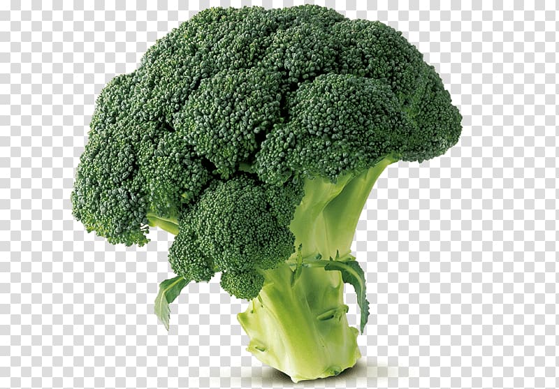Broccoli Gluten-free diet Collard greens Broccoflower Kale, broccoli transparent background PNG clipart