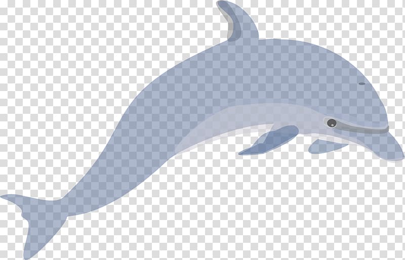 Common bottlenose dolphin Tucuxi Porpoise Illustration, Light blue dolphin transparent background PNG clipart