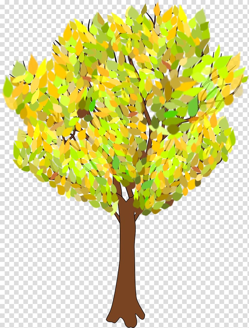 Tree Autumn Branch , beautiful autumn trees transparent background PNG clipart