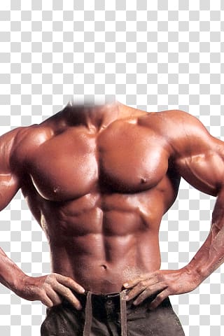 Bodybuilding transparent background PNG clipart