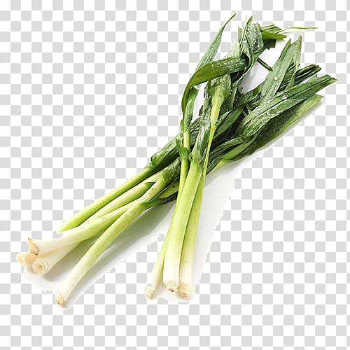 Allium fistulosum Shallot Vegetarian cuisine Leek Scallion, Fresh green onions transparent background PNG clipart