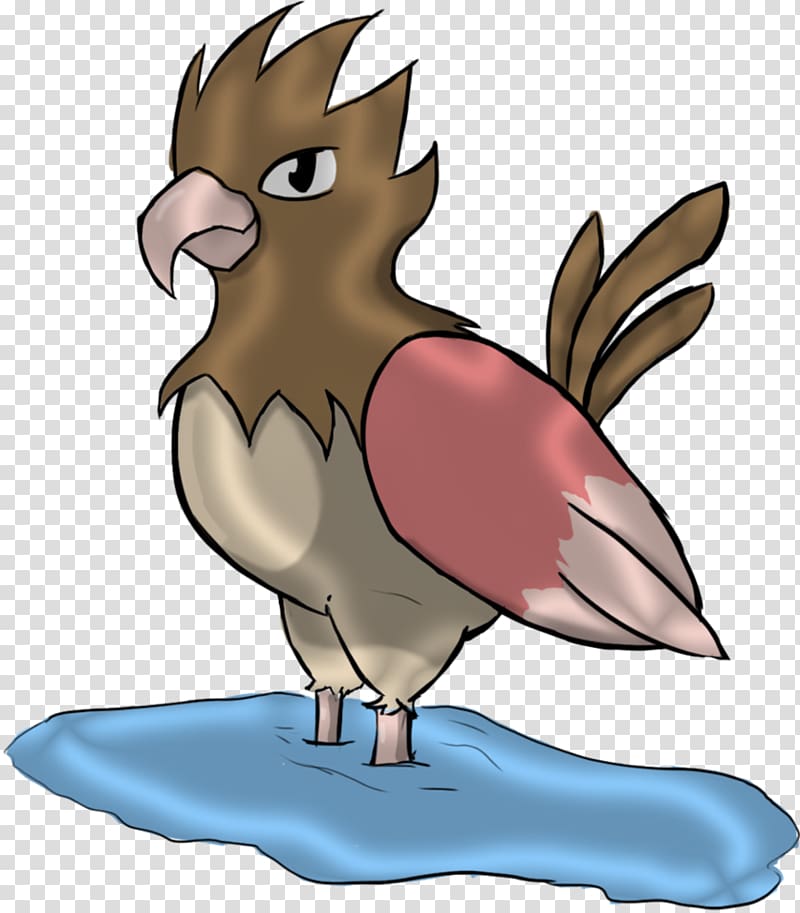 Rooster Beak Tail , Spearow transparent background PNG clipart