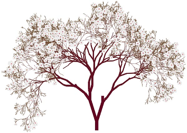 Almond Blossoms Tree , Almond transparent background PNG clipart