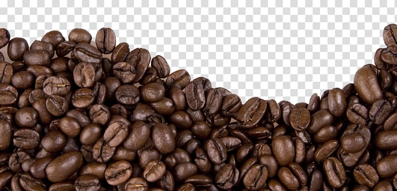 coffee beans, Jamaican Blue Mountain Coffee Cafe Coffee bean, Coffee beans transparent background PNG clipart