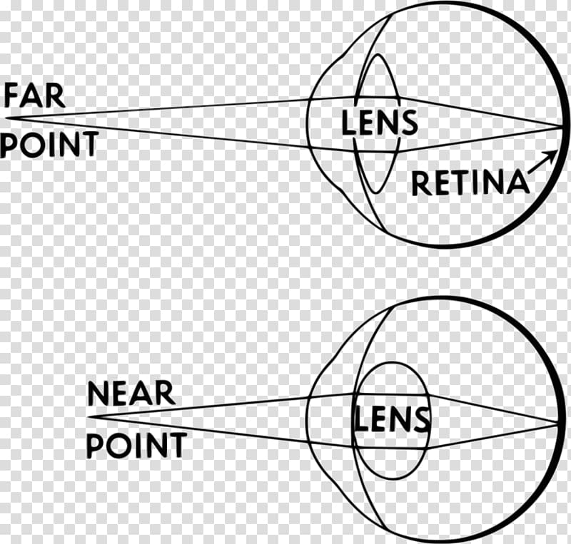 Accommodation reflex Human eye Lens, Eye transparent background PNG clipart