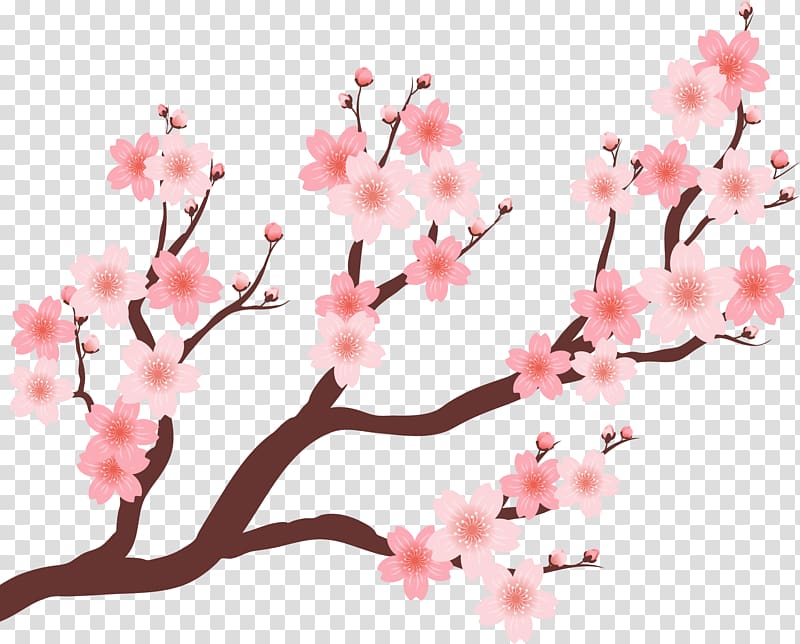 Cherry blossom Plum blossom, Beautiful cherry tree transparent background PNG clipart