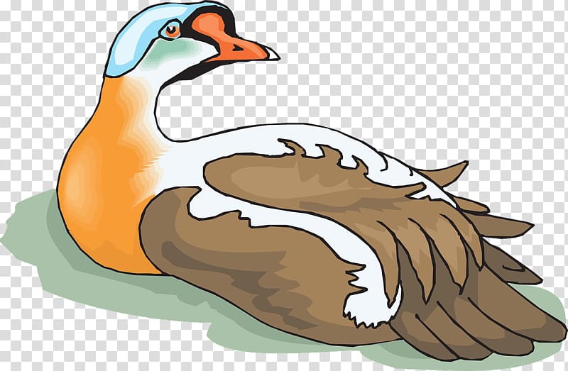 Greylag goose Bird Duck , goose transparent background PNG clipart