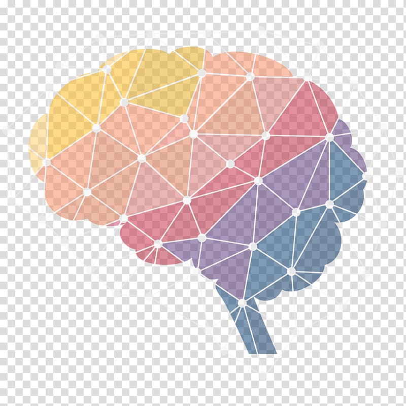 Human brain Neuroscience Neuroimaging Infographic, Science and Technology transparent background PNG clipart