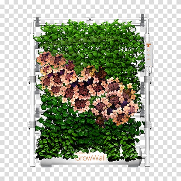 Leaf Tree Groundcover Shrub Purple, Leaf transparent background PNG clipart