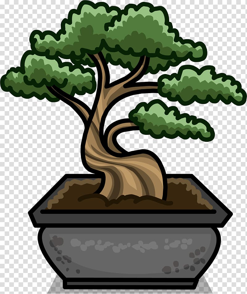 Club Penguin United States National Arboretum Bonsai Tree Flowerpot, bonsai transparent background PNG clipart