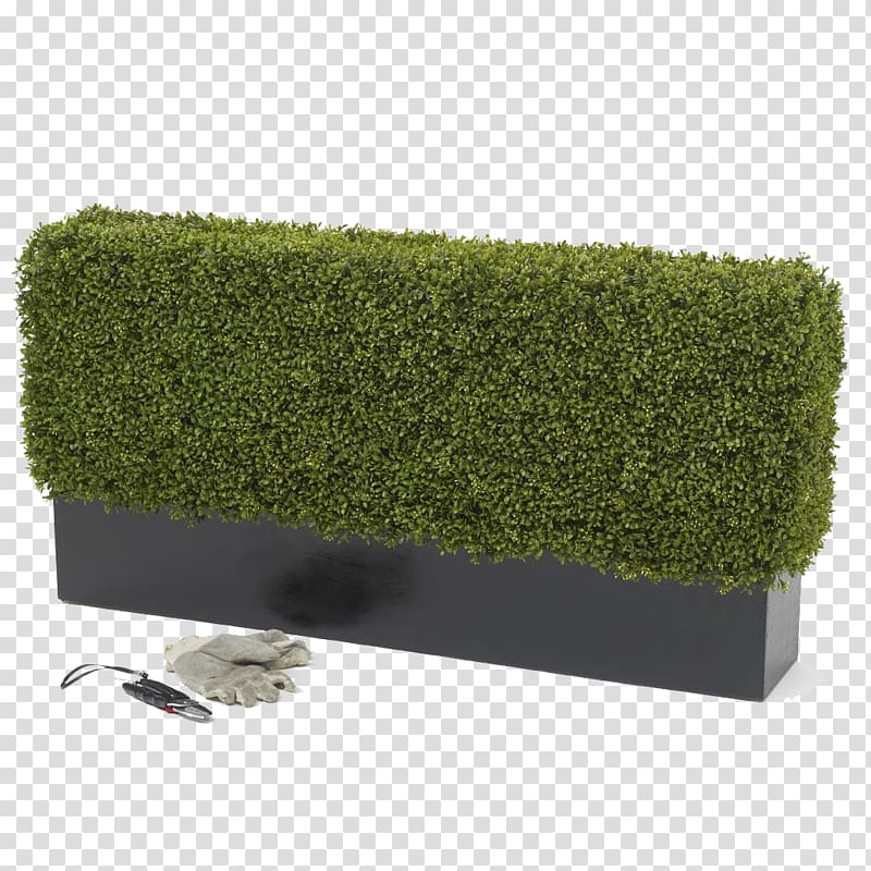 Hedge Box Shrub Topiary Artificial flower, box transparent background PNG clipart