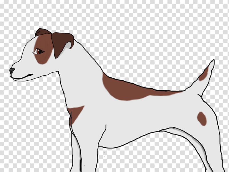 Dog breed Jack Russell Terrier Italian Greyhound Puppy, puppy transparent background PNG clipart