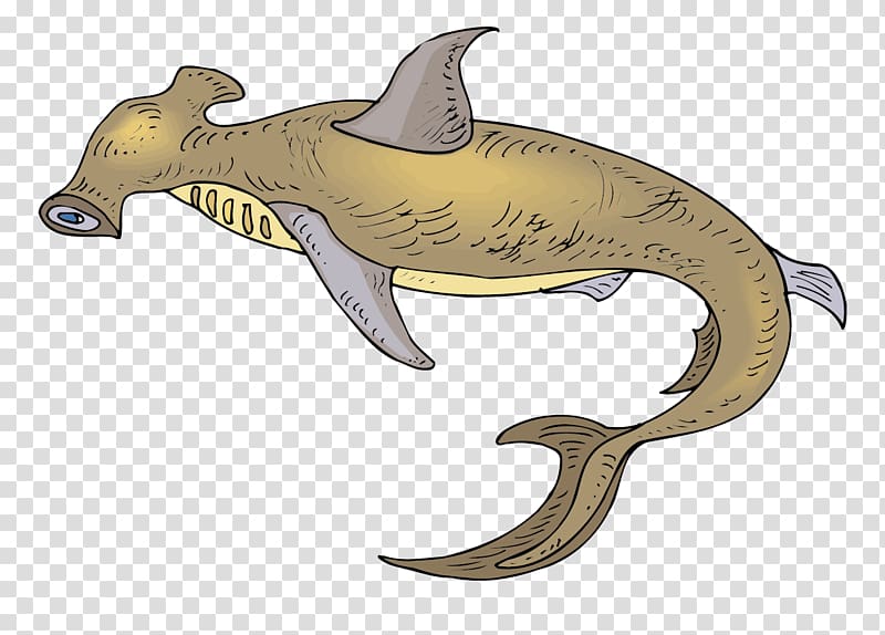 Shark Euclidean , Gold shark material transparent background PNG clipart