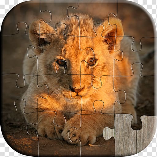 Lion Animal Babies Jigsaw Puzzles Game, Kids & Adults, lion transparent background PNG clipart