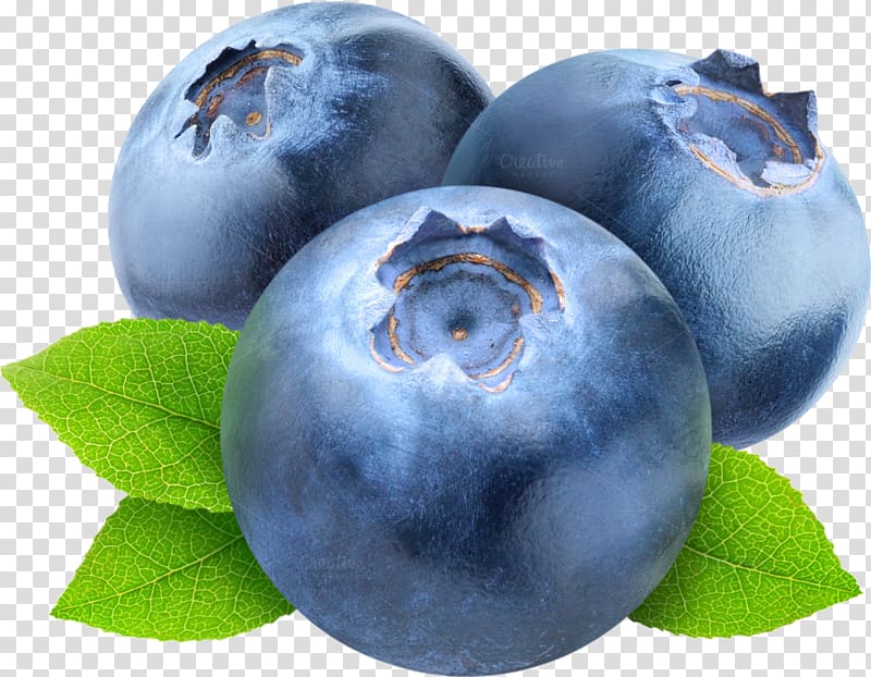 blueberries , European blueberry Vaccinium uliginosum Vaccinium myrtilloides Lingonberry, Blueberries transparent background PNG clipart