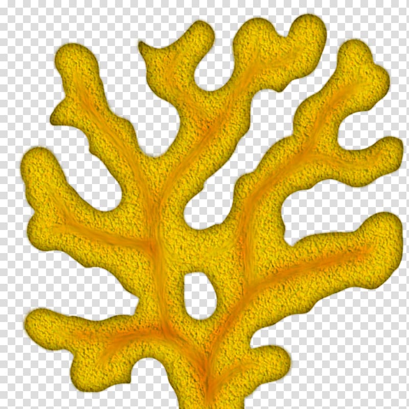 Coral reef , Coral Tree transparent background PNG clipart