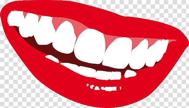 Teeth transparent background PNG clipart