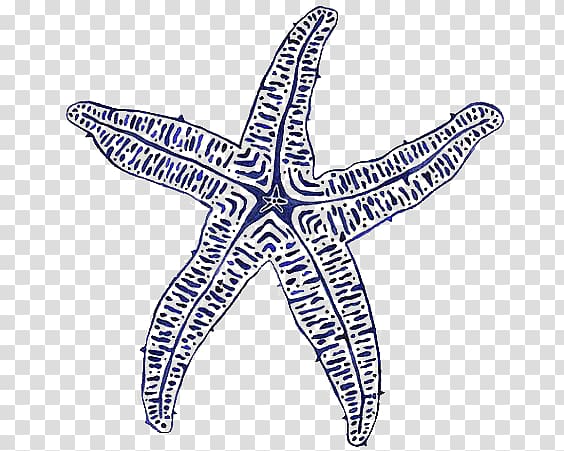 Starfish Painting Beach Sea Coast, starfish transparent background PNG clipart
