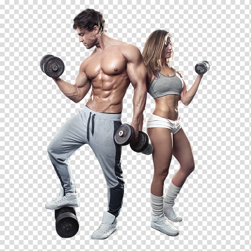 Physical fitness Exercise Bodybuilding Fitness centre, bodybuilding transparent background PNG clipart