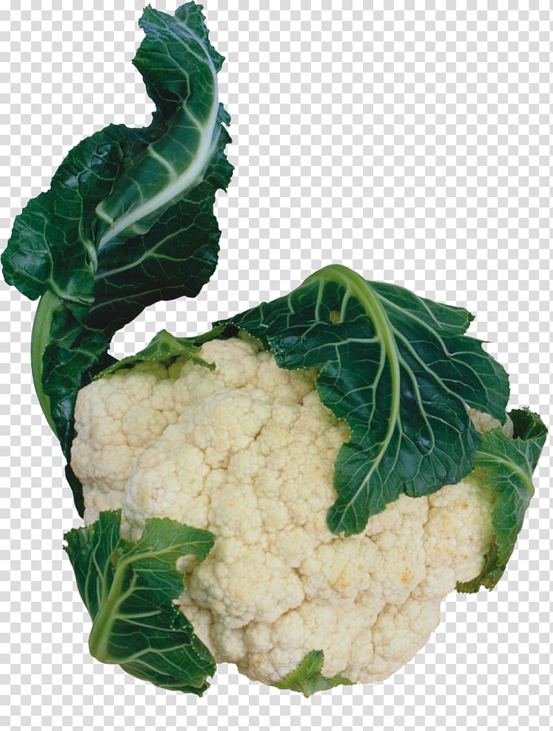 Cauliflower Vegetarian cuisine Red cabbage Vegetable Spring greens, Cauliflower transparent background PNG clipart