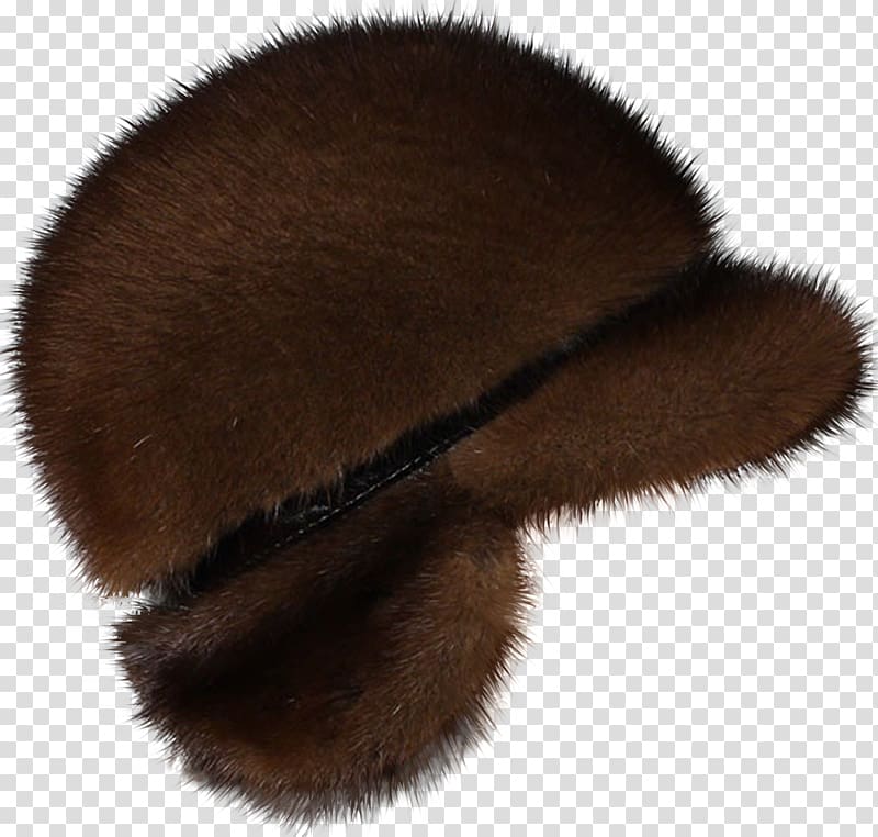 Headgear Animal product Cap Fur Snout, Cap transparent background PNG clipart